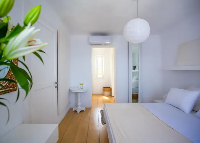 Βίλα Maison Haute Mykonos *