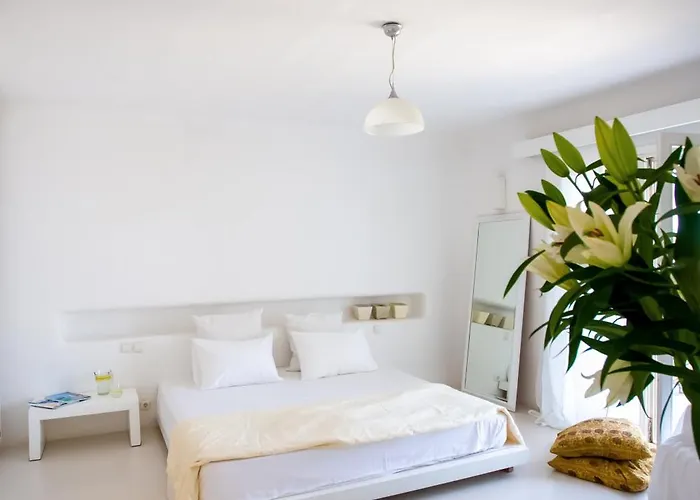 Maison Haute Mykonos * Ορνός